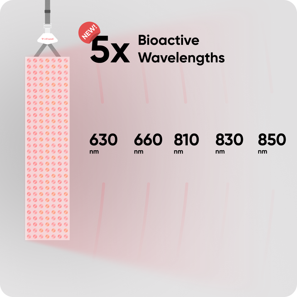 Infraredi Pro Max 2.0 Infraredi